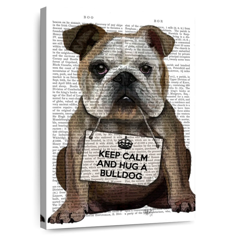 Bouledogue Brampt, H 30 po x l 20 po