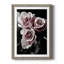 Rose noire I - photographie-1052725961-1052725956
