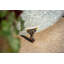 Keltner Metal Pot Planter-541192585