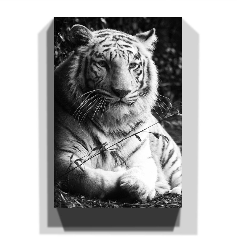Wrapped Canvas Print, 50cm H x 35cm W