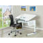 Solid Wood Base Writing Desk