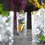 365ml Drinking Glass-62279406