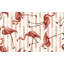 Papier peint de qualité supérieure - Motif flamant rose-1013710773