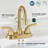 Centerset 2-handle Bathroom Faucet with Drain Assembly-55809706
