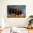 Brampt Walking American Bison-107691917