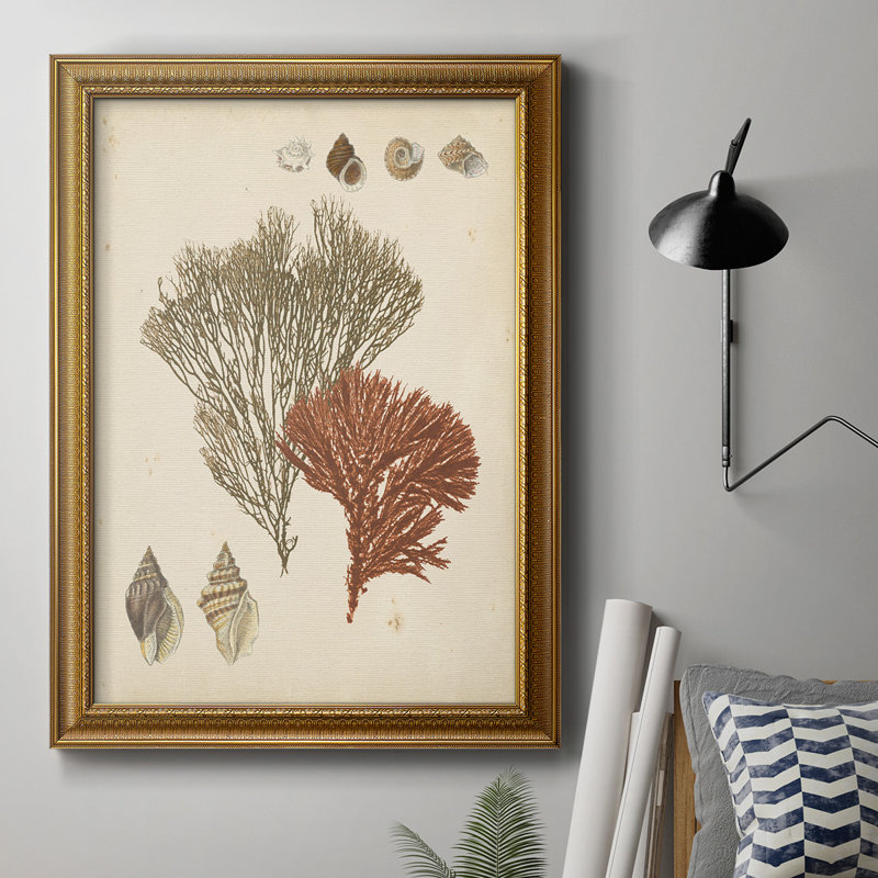 Toile encadrée de qualité supérieure Coastal Relic IV - prête à être accrochée, L 24 po x H 36 po
