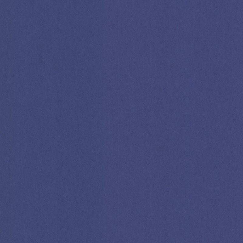 Papier peint à panneaux 33 'x 20,5 "Beloit, Mûre
