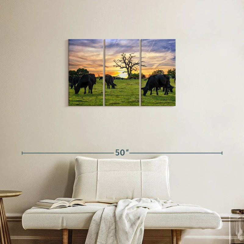 Brampt Grazing Aberdeen Angus, 20" H x 33" W
