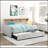 1Pc Light Gray Daybed With Pull-Out Trundle Bookcase Side Panel Charging Ports Nailhead Trim Modern Design Furniture