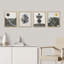 Mid-Century Duotone Monstera Leaf Landscape - ensemble de 4 reproductions de cadres photo simples-97762563-97762564