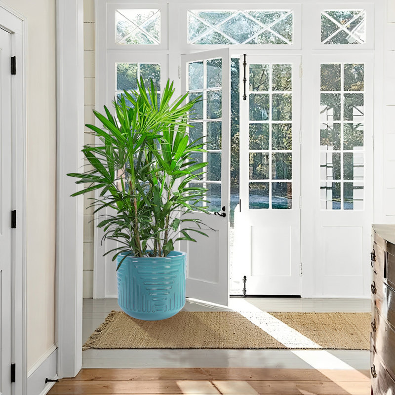 Jardinière en céramique cyan avec une performance toutes saisons, idéale pour les fleurs et les herbes, dimensions de 15,95 po convenant à aucun assemblage requis