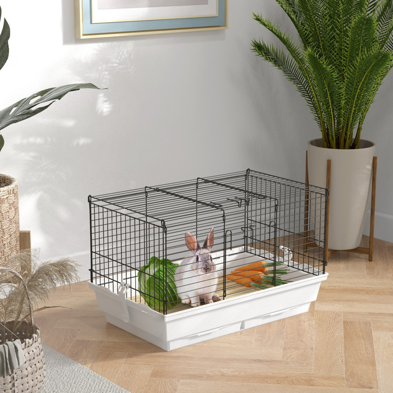 Zahir petit animal
