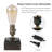 Anthany Metal Desk Lamp