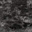 Collins Area Rug in Dark Gray-929774772