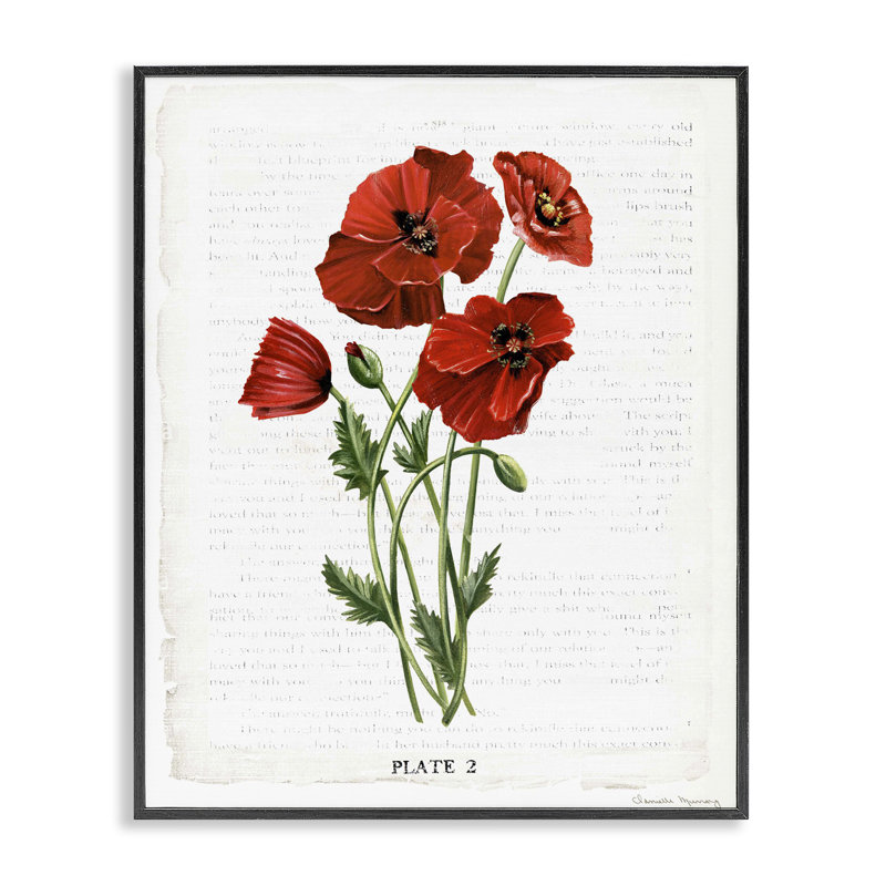«Vintage Poppy Study», estampe numérique, conception de Danielle Murray, H 14 po x l 11 po, Giclée encadrée noir minuit