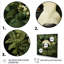 Hideaway Panda Bamboo Foliage I - art mural Panda pour le salon-1632052672-1632052675