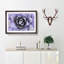 Lilac Succulent Plant - Picture Frame Graphic Art Print-56859846-56859848