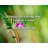 Artsy Quote "I focus on taking one step at a time." By Dusti Bowling Gallery Wrapped Canvas-702810586