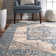 Alieda Oriental Indoor Rug