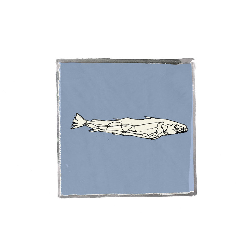 " Block Print Fish I " by Cartissi Painting Print, 36" H x 36" W x 1.25" D