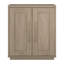 Tillman 2 - Door Rectangle Accent Cabinet-1806308012