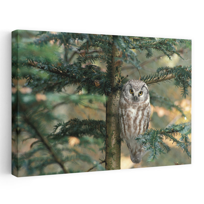 Chouette dans un arbre abstrait contemporain, H 16 po x l 24 po