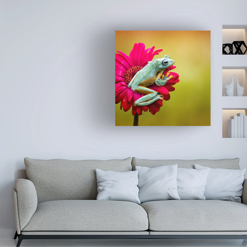 Art sur toile, bolle Fauzan Maududdin, H 18 po x l 18 po