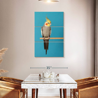 Brampt Cockatiel On Blue