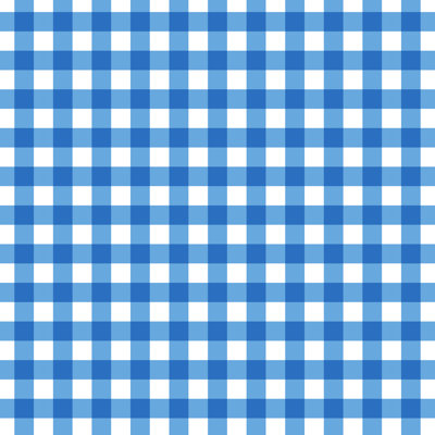 Buffalo Check Pattern by Seekershadow - Wrapped Canvas Print