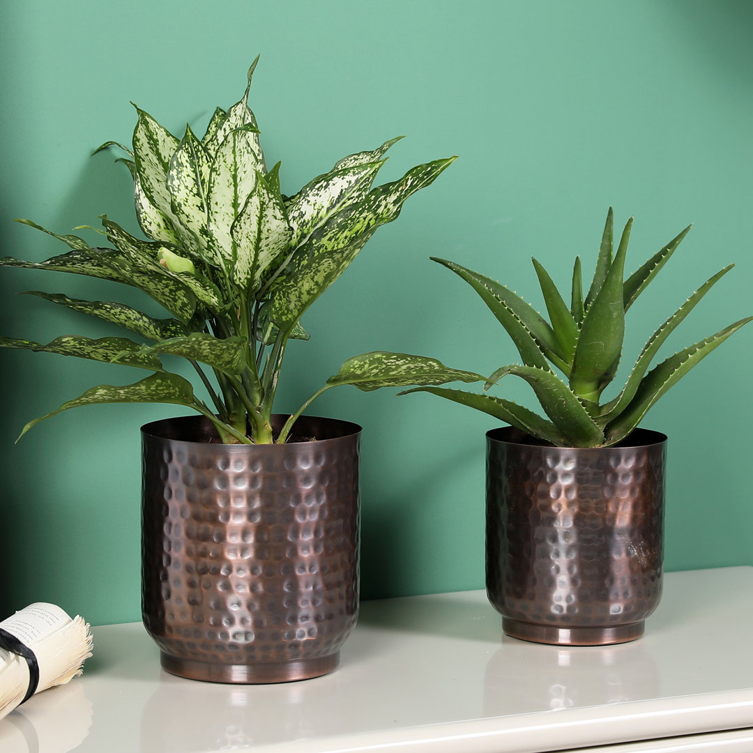 Baldur 2 Piece Metal Pot Planter Set (Set of 2) Dakota Fields 