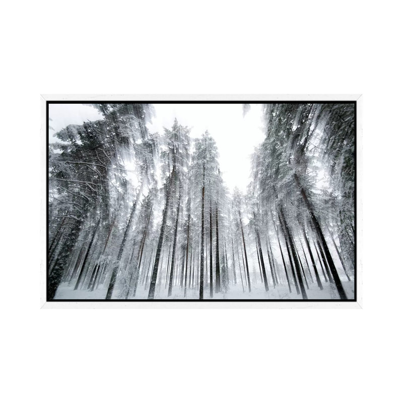 Trees In Motion by Andreas Stridsberg - Gallery-Wrapped Canvas Giclée on Canvas, 66.04 cm H x 45.72 cm W, White Framed