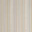 Siders Stripe-1195786685