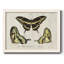 «Crackled Butterflies I», reproduction d'art sur toile-836998027-836998025