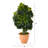 39'' Faux Schefflera Tree in Clay Planter