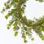 Couronne d'eucalyptus UV 22 po-1773922136