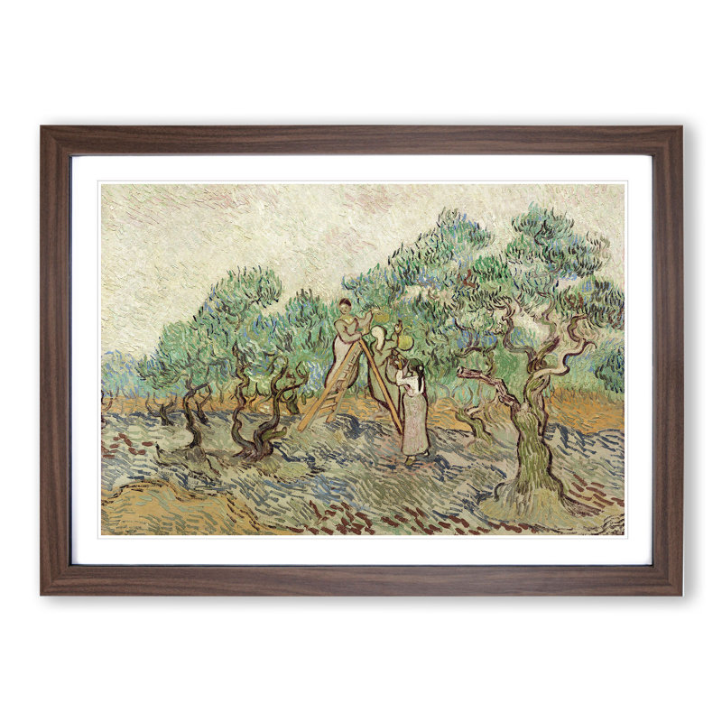 The Olive Orchard by Vincent Van Gogh - Picture Frame Painting, 27cm H x 36cm W x 2cm D, Walnut Framed