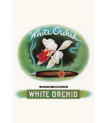 White Orchid Vintage Advertisement White Orchid Vintage Advertisement