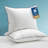 Xavier 100% Organic Cotton Soft-Medium Support Feather Down Pillows Set of 2-864447357
