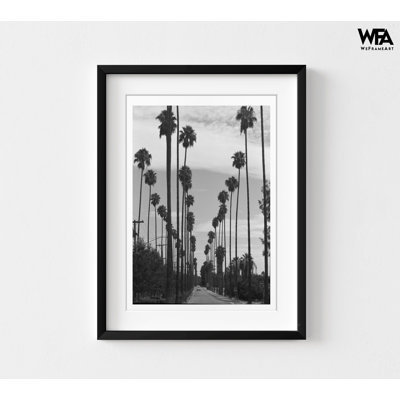 Palm Trees Photography Print, Framed Black And White Tree Photo, Tree Wall Decor, Tropical Tree Wall Art,Framed Wall Art, Oversized Wall Art