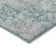 Machine Washable Indoor/Outdoor Claudian ACN1238 Teal Rug