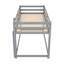 Lit superposé simple au-dessus d'un lit simple avec échelle, gris-692430193
