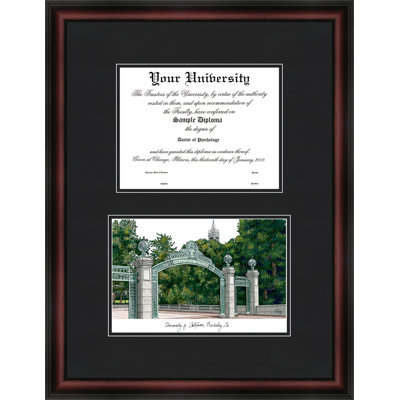 NCAA Cal Golden Bears Diplomate Diploma Frame