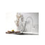Robinet de cuisine laiton avec douchette extractible-102035863