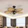 Bay Isle Home™ 52'' Ceiling Fan with LED Lights