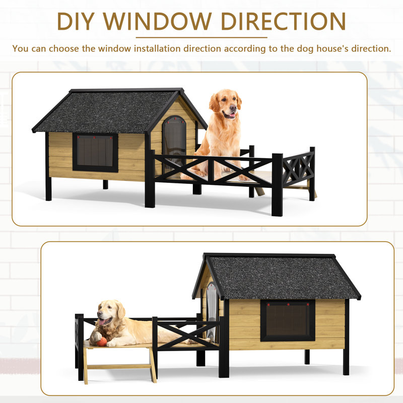 Small Dogs Animal Shelter Puppies For Sale Paws Animal Shelter