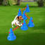 Ensemble de cages de haies Dog Agility, 12 PCS / 87 PCS, ensemble de parcours d'agilité pour chien