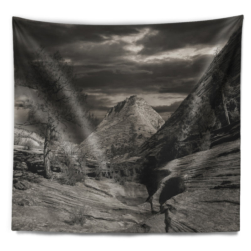 Tapisserie noire et blanche à paysage de roches rouges, H 78 po x l 92 po