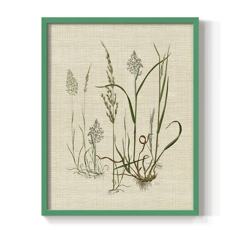 Linen Graminées II, reproduction encadrée - bois massif, Vert, H 10 po x l 8 po