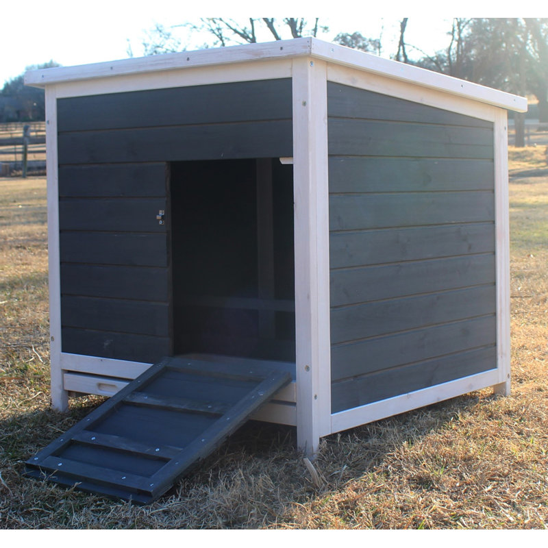 6.04 Square Feet Chicken Coop with Nesting Box For Up To 1 Chickens