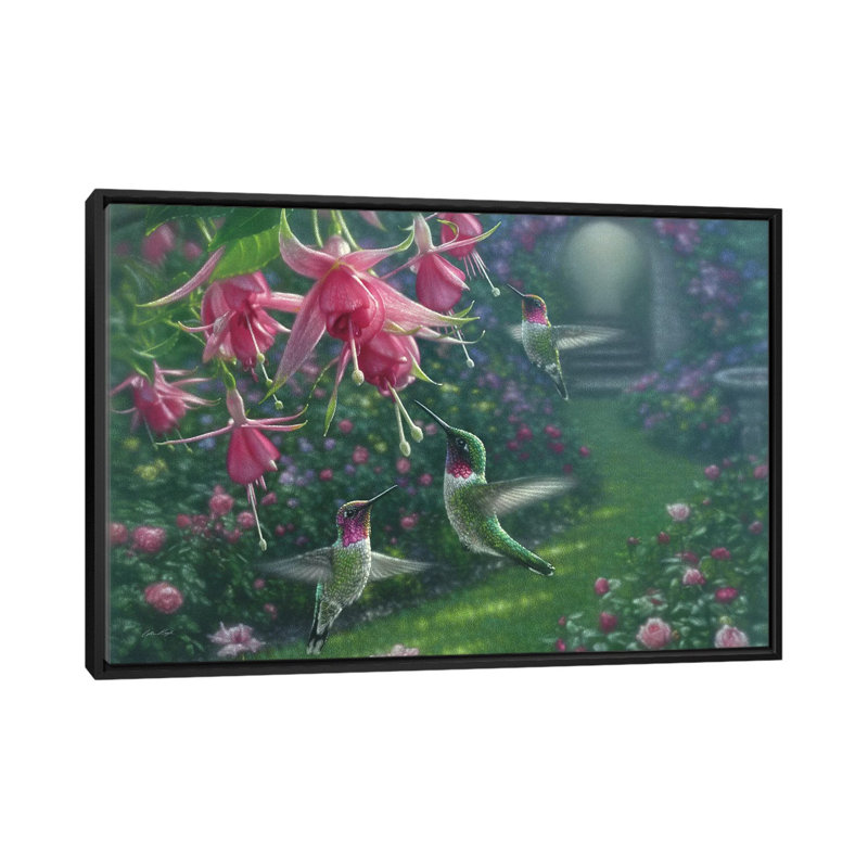 «Hummingbird Haven, Horizontal» par Collin Bogle - impression d'art graphique, H 32 po x l 48 po x 1,5 po, Pas de tapis